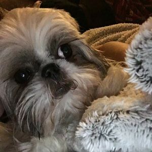 Meet your Posher, Kailtyn